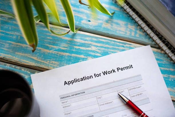 Illustrative picture of work permit application form 40669 1